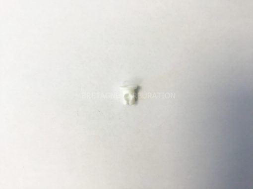 Clips Weber PM REF 1331